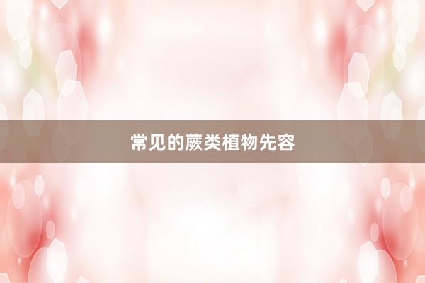 常见的蕨类植物先容
